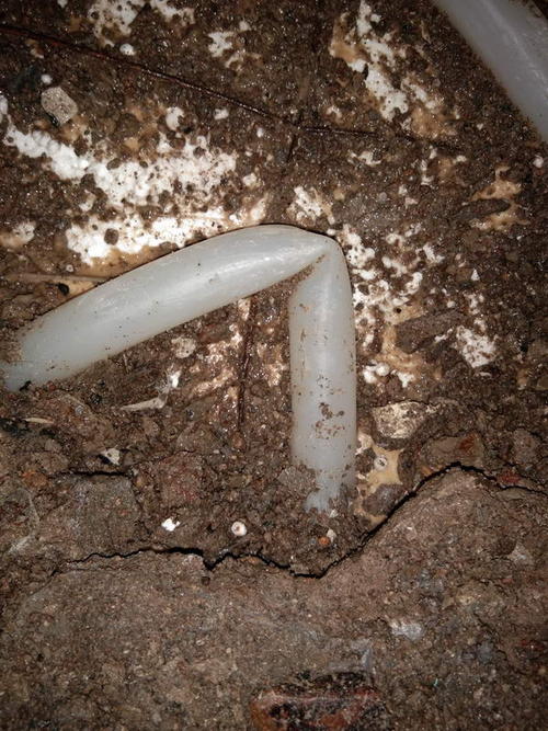 西林堵点精准查找